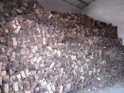  ����-��Ʒչʾ